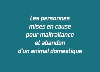 Les personnes mises en cause pour maltraitance et abandon d'un animal domestique